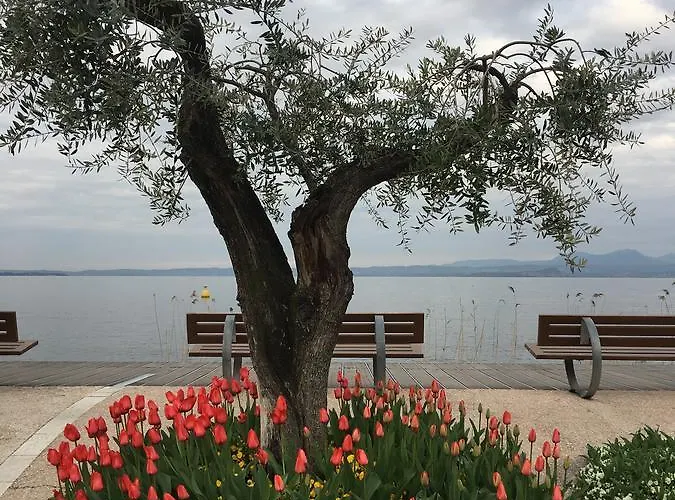 Cabà D'annunzio Appartement Bardolino