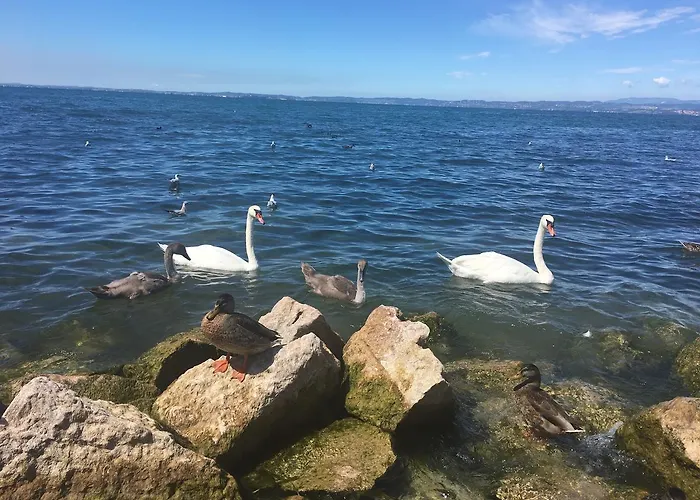 Appartement Cabà D'annunzio *
