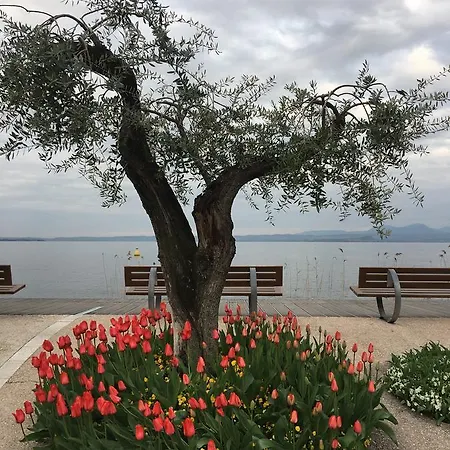 Caba D'annunzio Апартаменты Бардолино