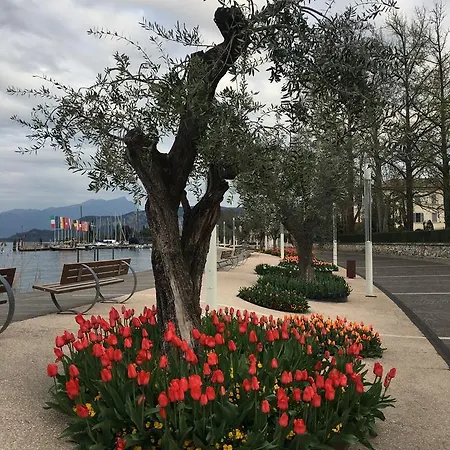 Caba D'annunzio Бардолино